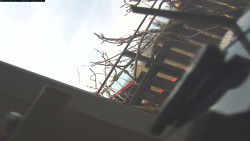 Pohled na jih, hrad Trosky