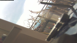 Pohled na jih, hrad Trosky