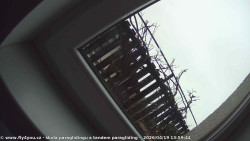 Pohled na jih, hrad Trosky