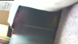 Pohled na jih, hrad Trosky