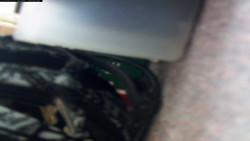 Pohled na jih, hrad Trosky