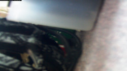 Pohled na jih, hrad Trosky