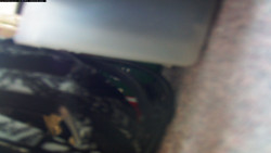 Pohled na jih, hrad Trosky