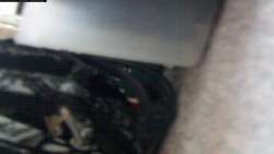 Pohled na jih, hrad Trosky