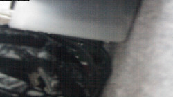 Pohled na jih, hrad Trosky