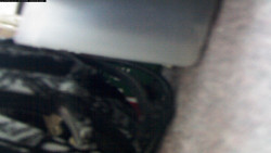 Pohled na jih, hrad Trosky