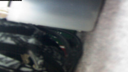 Pohled na jih, hrad Trosky