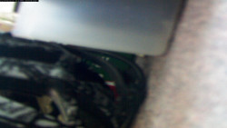 Pohled na jih, hrad Trosky