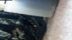 Pohled na jih, hrad Trosky