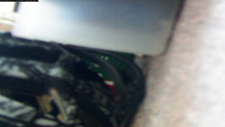 Pohled na jih, hrad Trosky