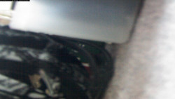 Pohled na jih, hrad Trosky