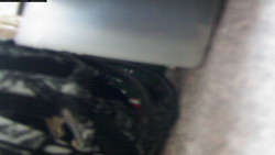 Pohled na jih, hrad Trosky