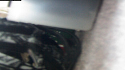 Pohled na jih, hrad Trosky