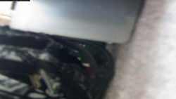 Pohled na jih, hrad Trosky