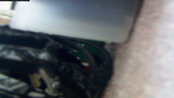 Pohled na jih, hrad Trosky