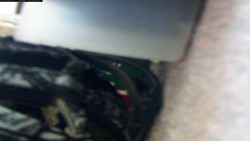 Pohled na jih, hrad Trosky