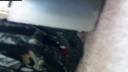 Pohled na jih, hrad Trosky