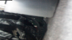 Pohled na jih, hrad Trosky