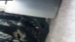 Pohled na jih, hrad Trosky