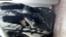 Pohled na jih, hrad Trosky