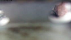 Pohled na jih, hrad Trosky