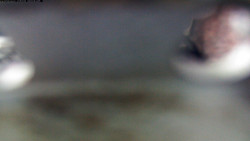 Pohled na jih, hrad Trosky