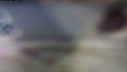 Pohled na jih, hrad Trosky