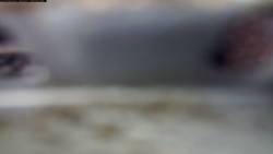 Pohled na jih, hrad Trosky