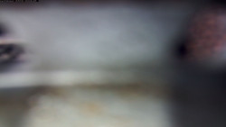 Pohled na jih, hrad Trosky