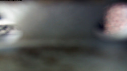 Pohled na jih, hrad Trosky