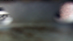 Pohled na jih, hrad Trosky