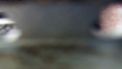 Pohled na jih, hrad Trosky