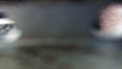 Pohled na jih, hrad Trosky