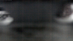 Pohled na jih, hrad Trosky