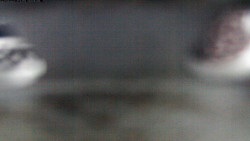 Pohled na jih, hrad Trosky