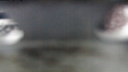 Pohled na jih, hrad Trosky