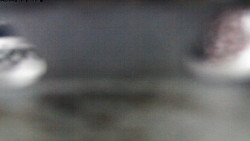 Pohled na jih, hrad Trosky