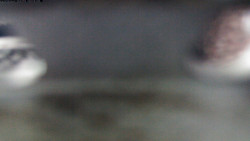 Pohled na jih, hrad Trosky