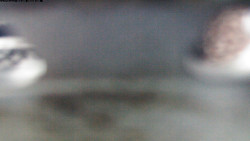 Pohled na jih, hrad Trosky