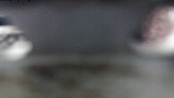 Pohled na jih, hrad Trosky