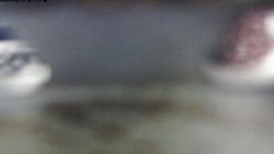 Pohled na jih, hrad Trosky