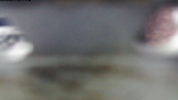 Pohled na jih, hrad Trosky