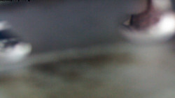 Pohled na jih, hrad Trosky