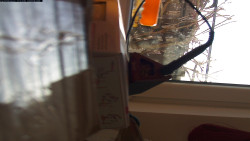 Pohled na jih, hrad Trosky