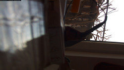 Pohled na jih, hrad Trosky