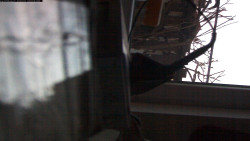 Pohled na jih, hrad Trosky