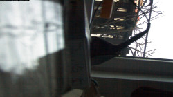 Pohled na jih, hrad Trosky