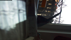 Pohled na jih, hrad Trosky