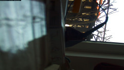 Pohled na jih, hrad Trosky