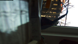 Pohled na jih, hrad Trosky